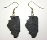 Illinois Slate Earrings