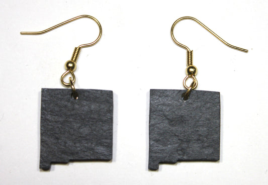 New Mexico Slate Earrings