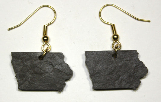 Iowa Slate Earrings