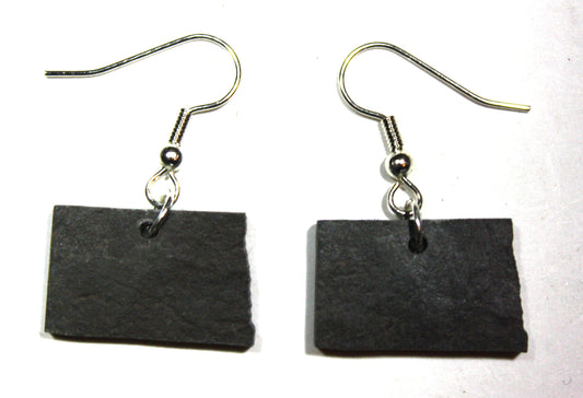 North Dakota Slate Earrings