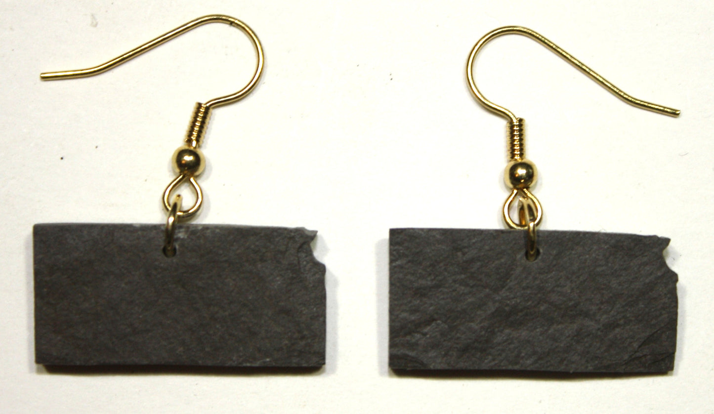 Kansas Slate Earrings