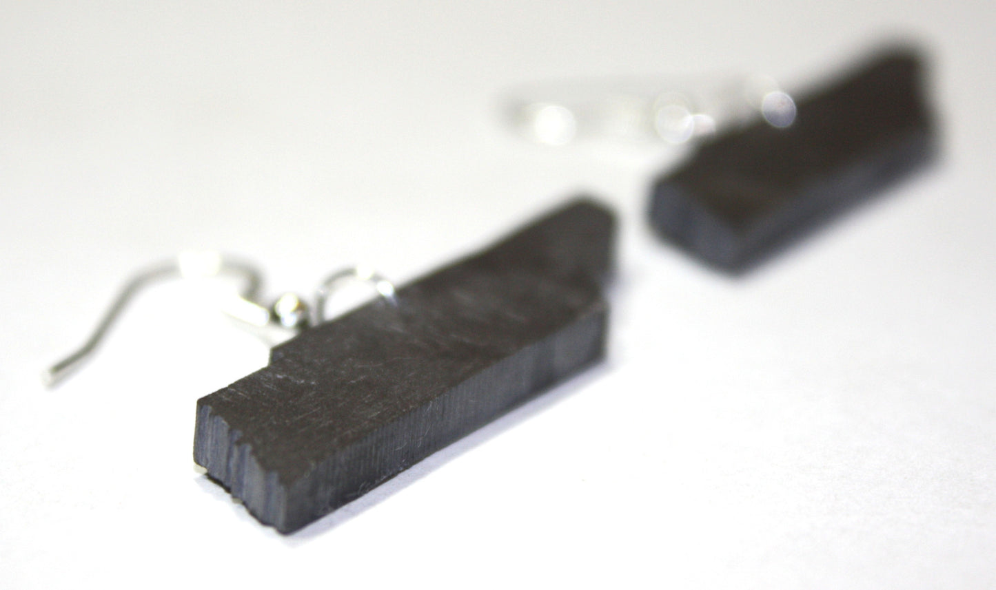 Tennessee Slate Earrings