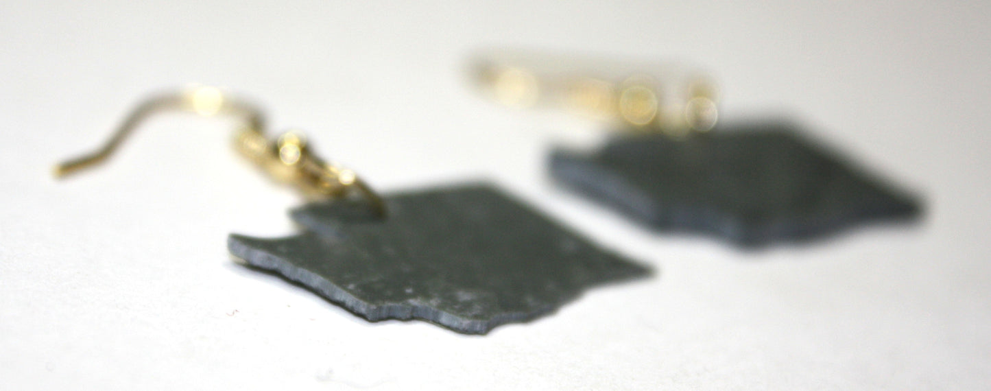 Washington Black Slate Earrings