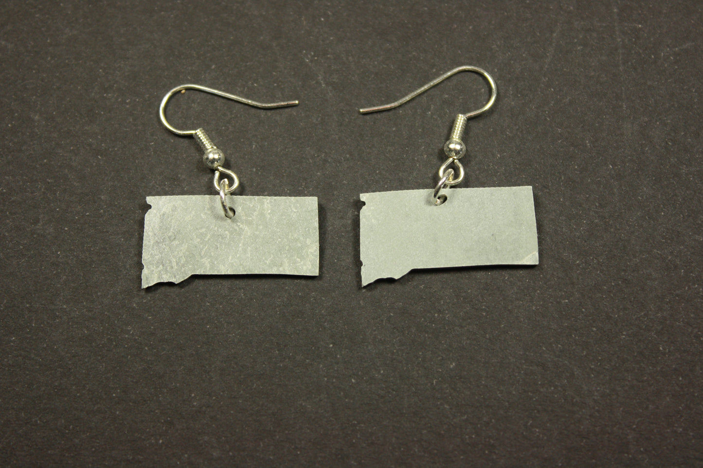 South Dakota Slate Earrings