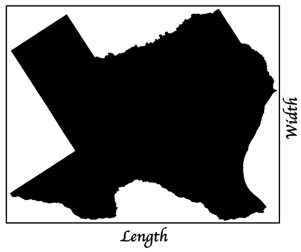 Texas Length & Width